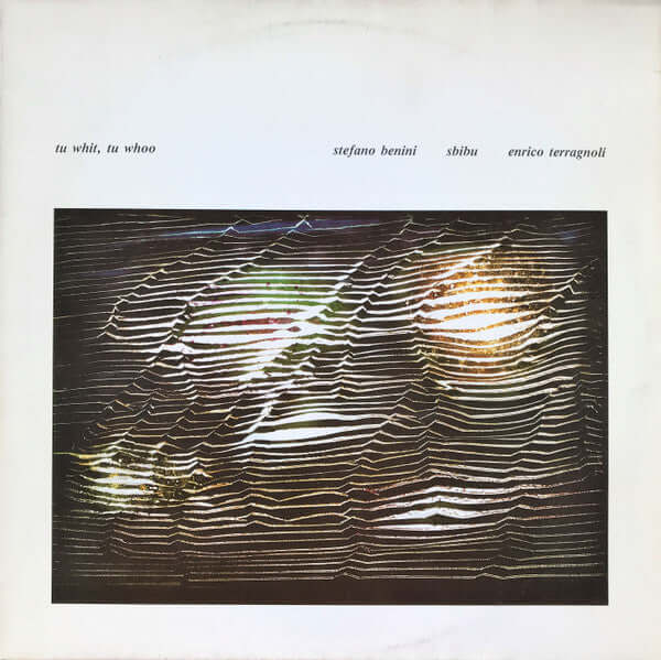 Sälja vinylskivor med Stefano Benini - Sbibu - Enrico Terragnoli