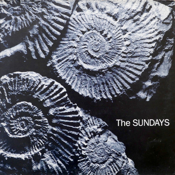 Sälja vinylskivor med The Sundays